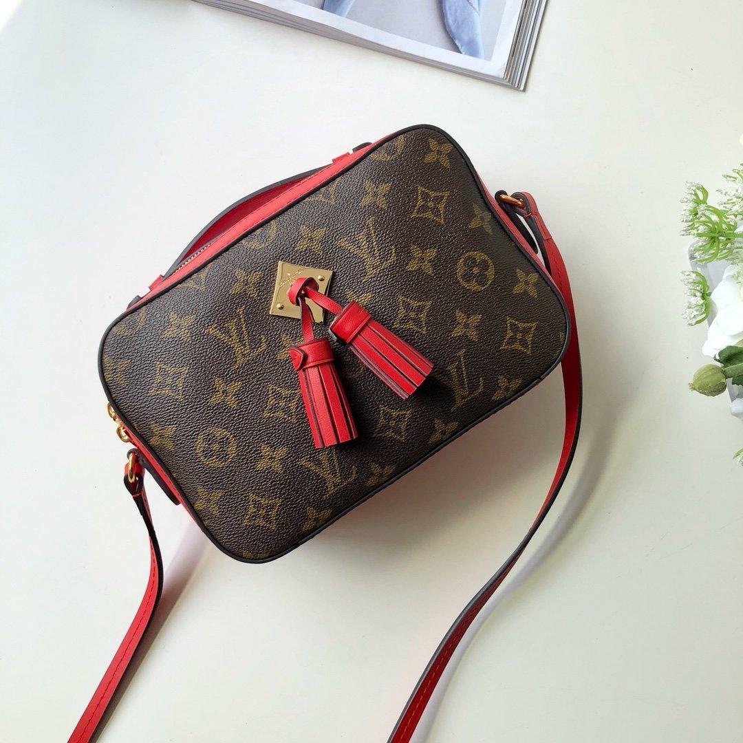 Louis Vuitton SAINTONGE