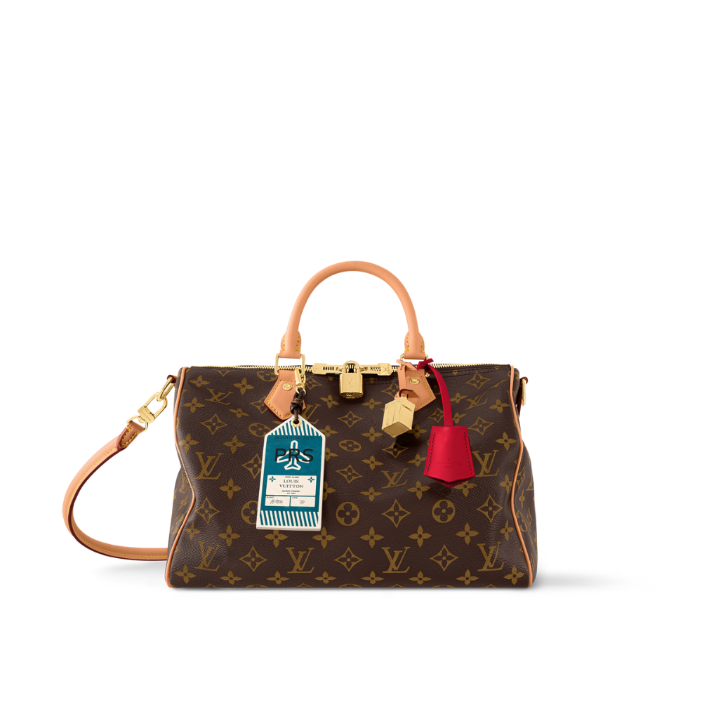 Louis Vuitton Speedy Soft 30 Crafty