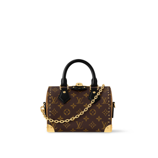 Louis Vuitton Speedy Trunk 20