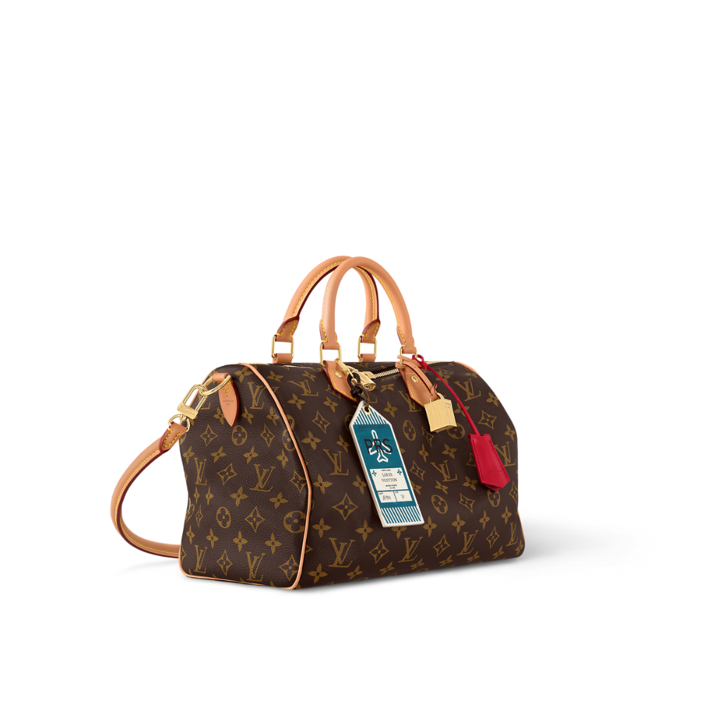 Louis Vuitton Speedy Soft 30 Crafty