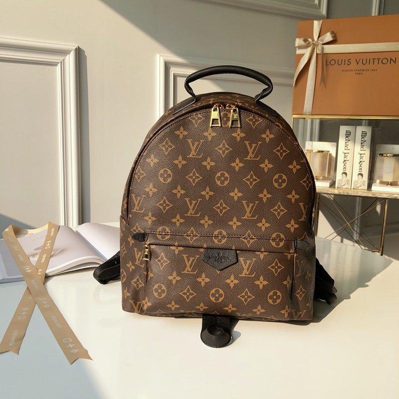 Louis Vuitton palm Springs MM Backpack