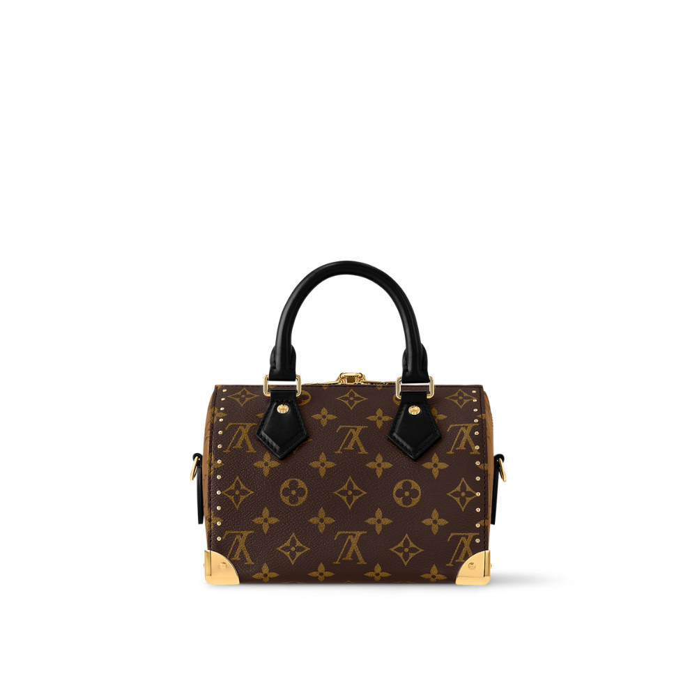 Louis Vuitton Speedy Trunk 20