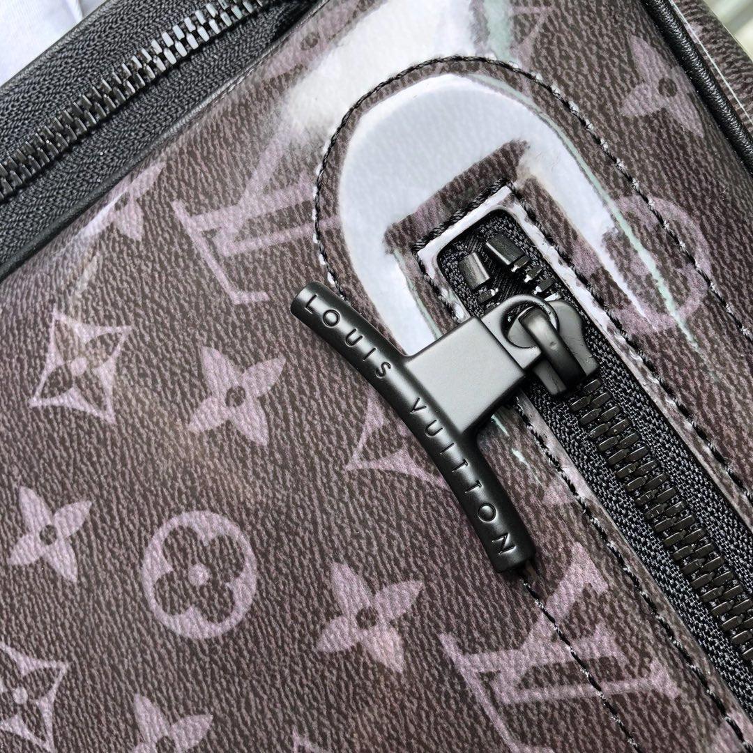 Louis Vuitton Monogram camera Bag