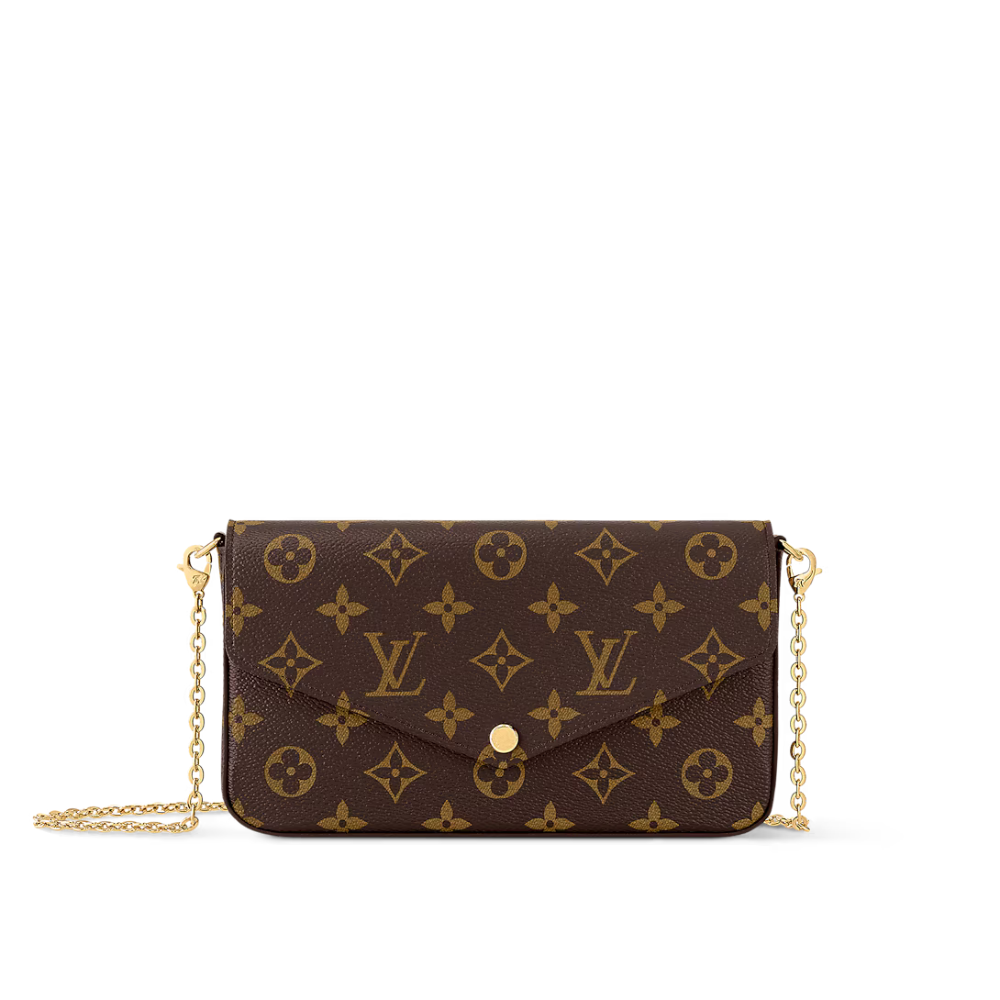 Louis Vuitton Félicie Pochette