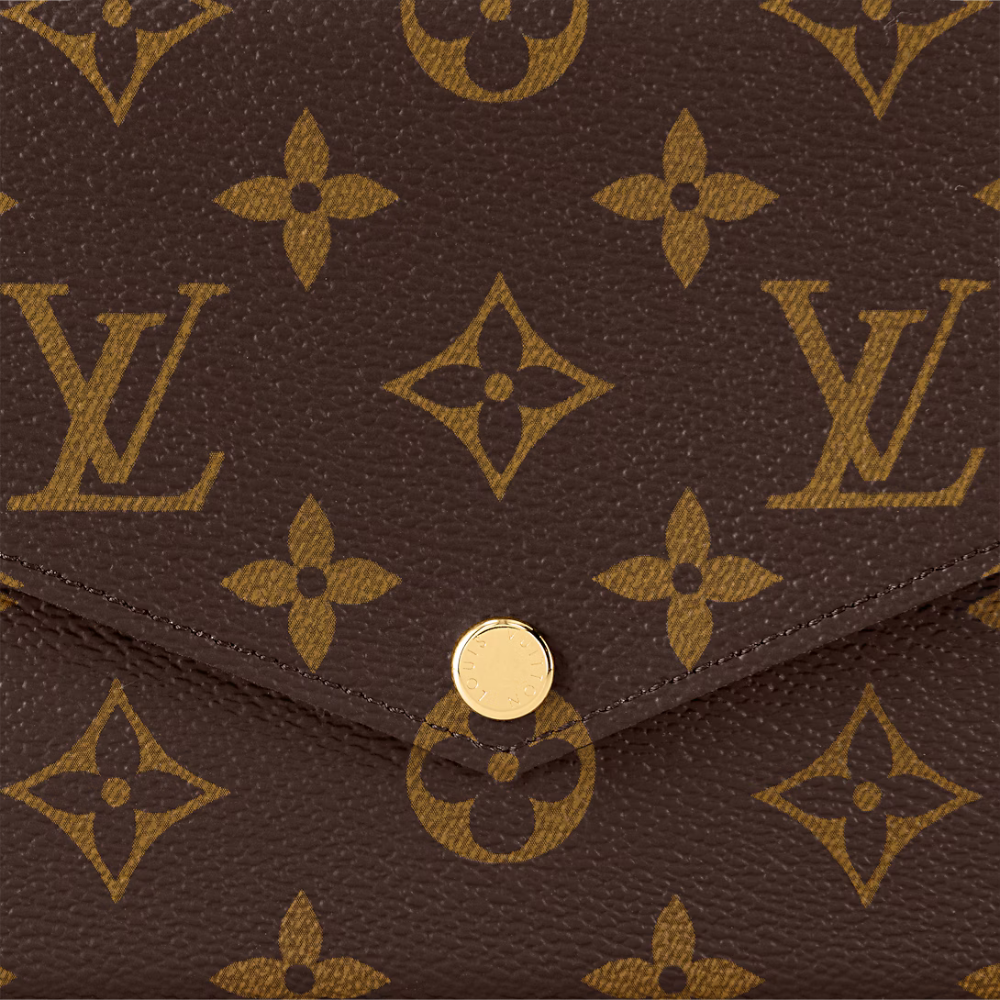 Louis Vuitton Félicie Pochette