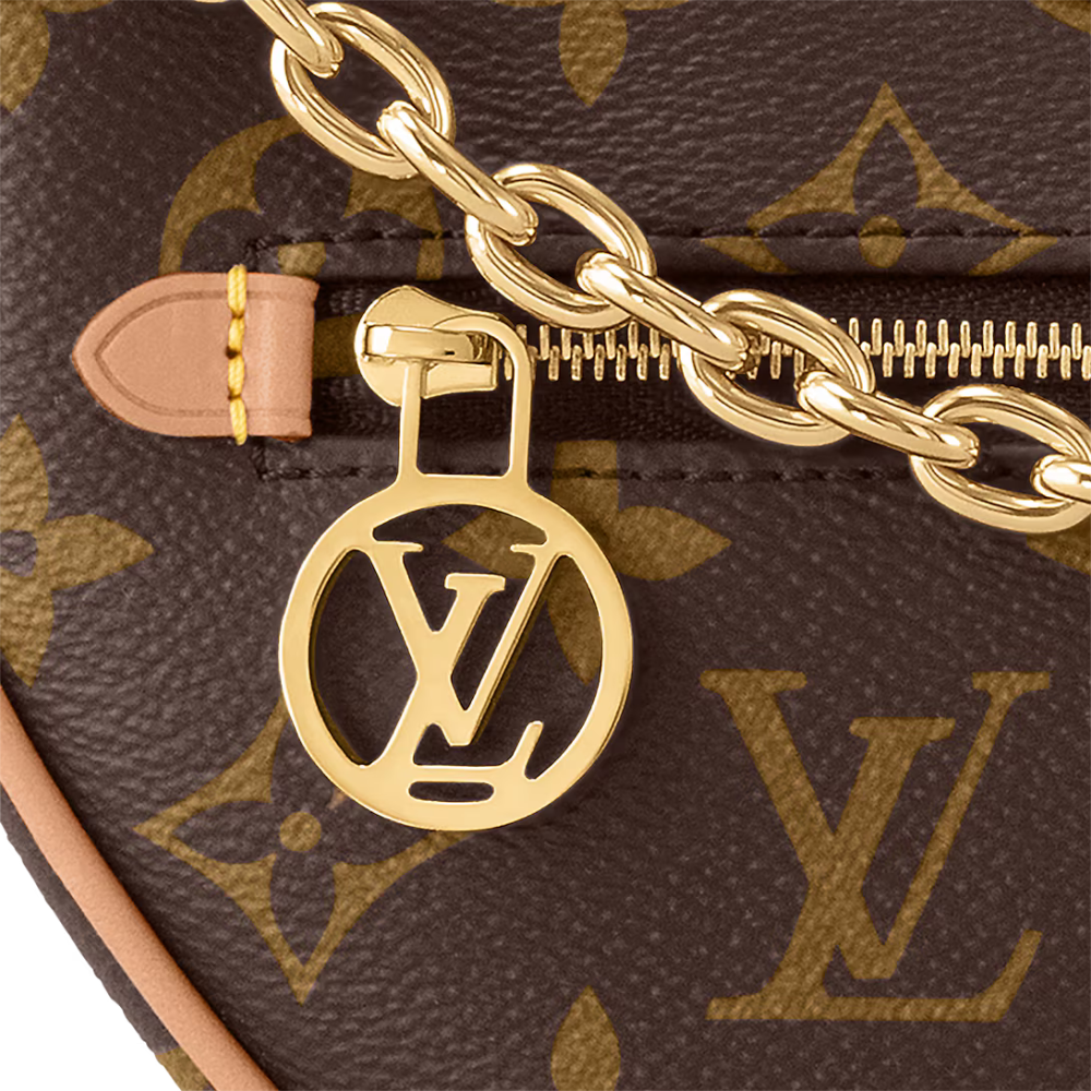 Louis Vuitton Loop Bag