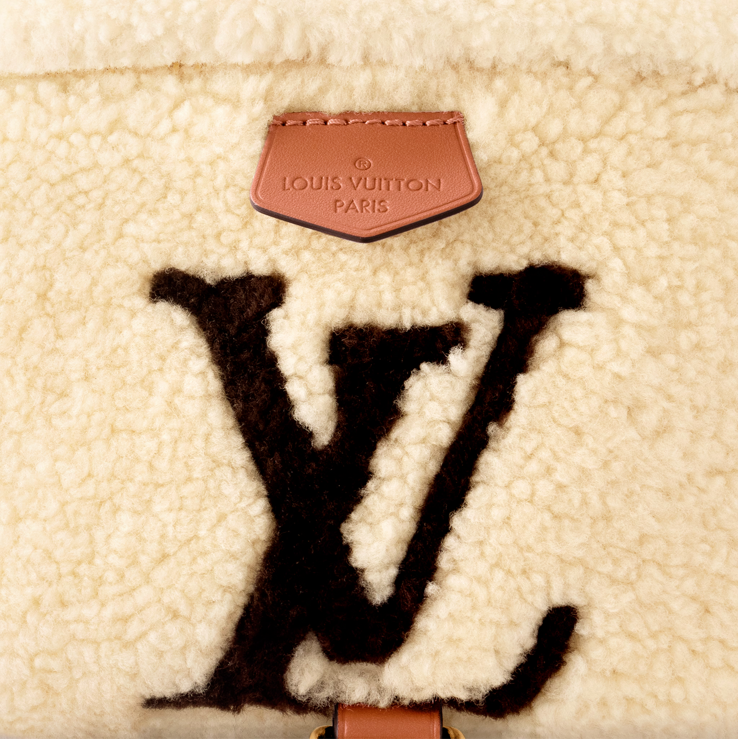 Louis Vuitton Monogram Bumbag LV SKI M23715