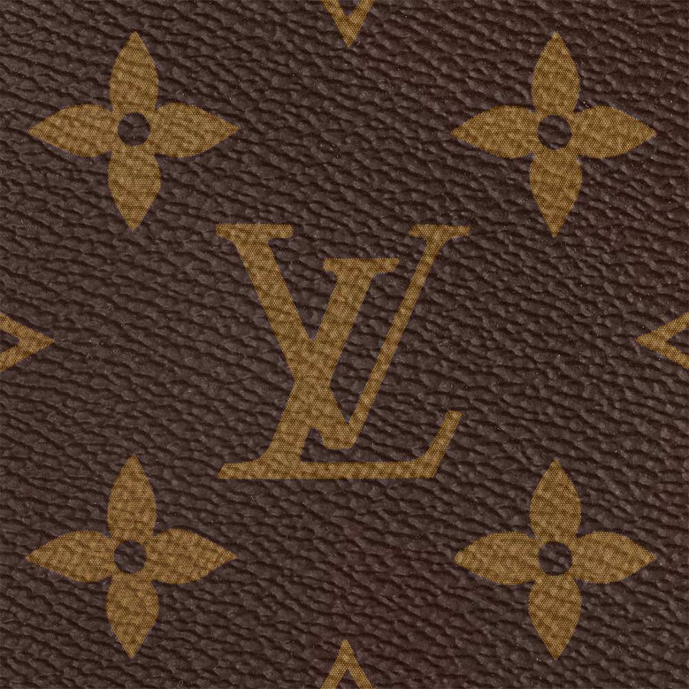 Louis Vuitton Speedy Bandoulière 20