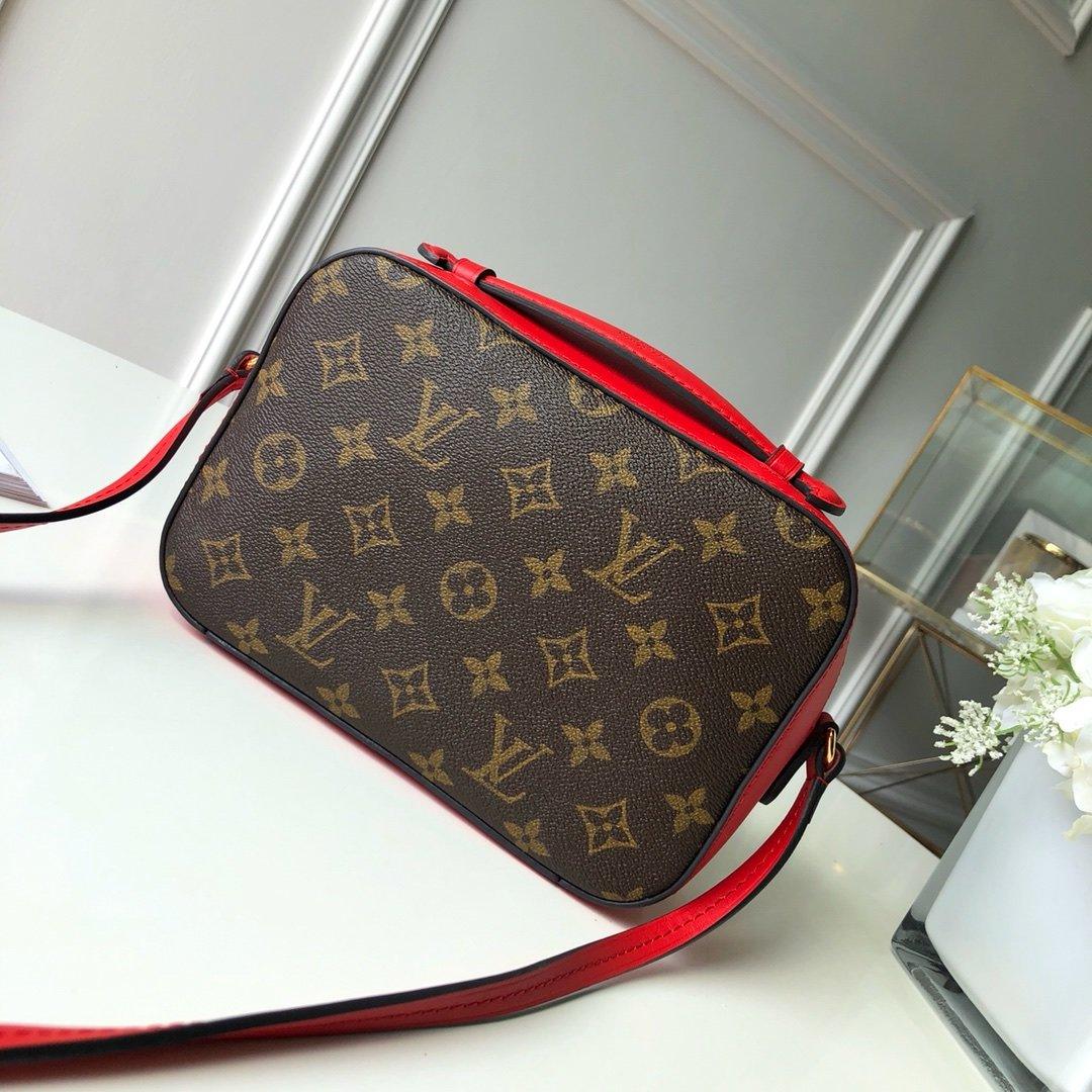 Louis Vuitton SAINTONGE