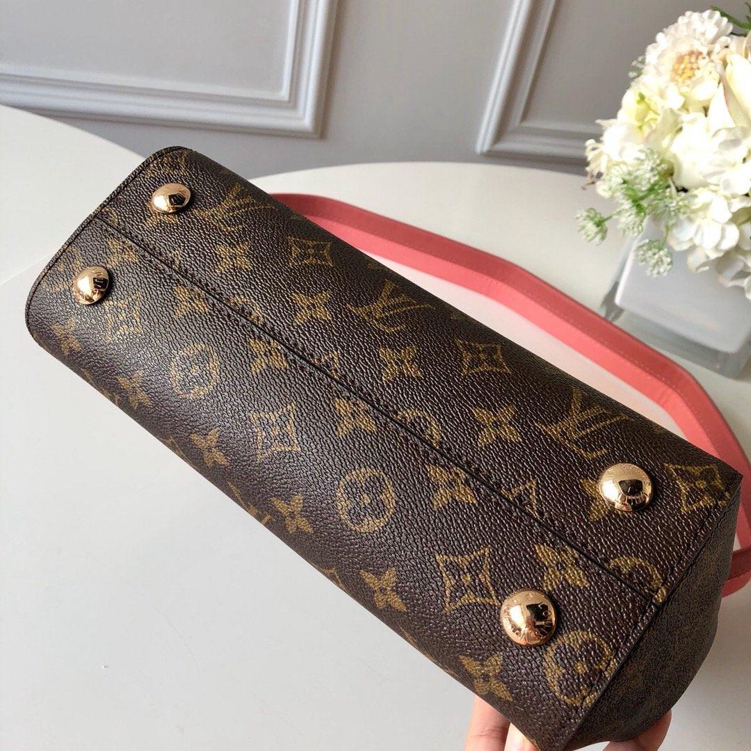 Louis Vuitton CLUNY BB