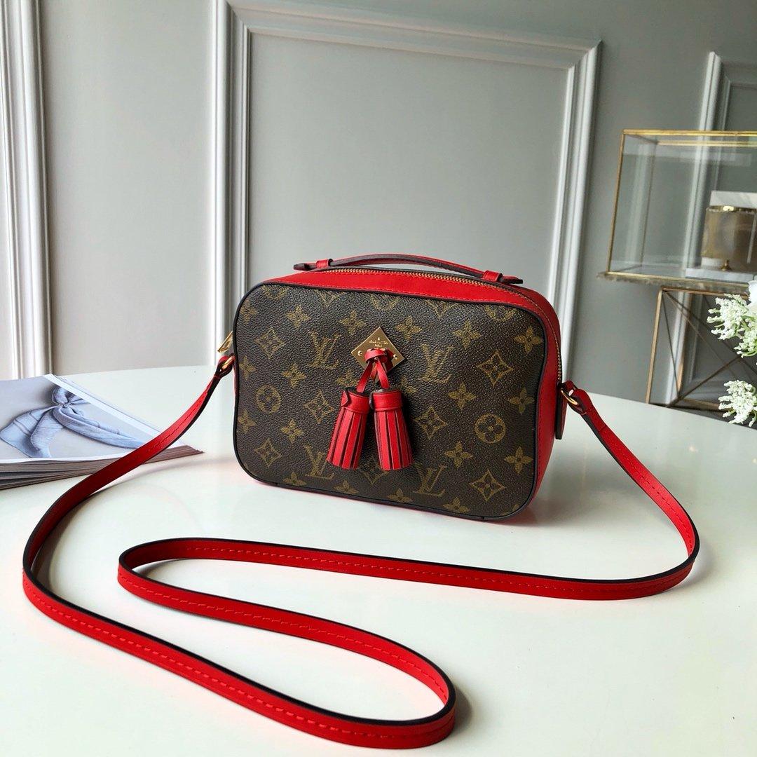 Louis Vuitton SAINTONGE