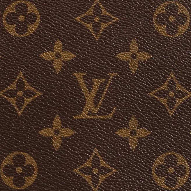 Louis Vuitton Neverfull PM