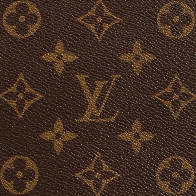 Louis Vuitton Neverfull PM