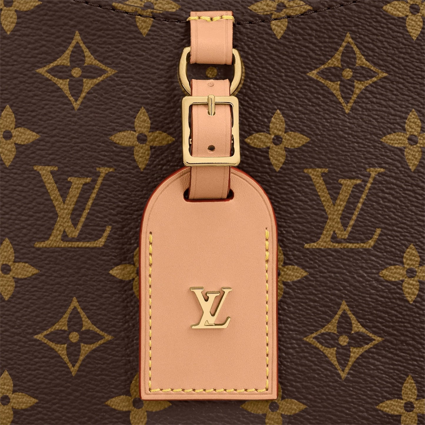 Louis Vuitton ODÉON PM