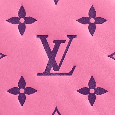 Louis Vuitton Pochette Coussin